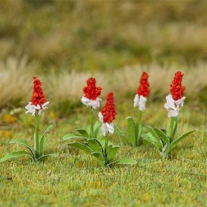 1/87 ORCHIDEEPRIMULA 32 STUKS