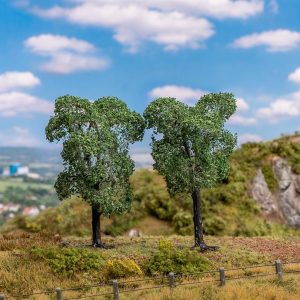 BOOM FRUITBOMEN 2 STUKS