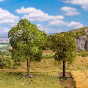 BOOM LINDE EN ELSBES