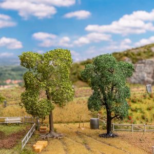 BOOM PERENBOMEN 2 STUKS