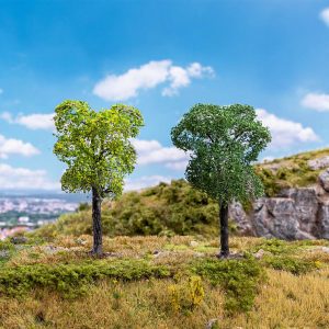 BOOM PRUIMENBOMEN 2 STUKS