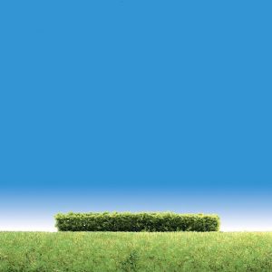 HEGGEN LICHTGROEN 3 STUKS