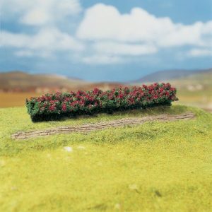 PREMIUM HEGGEN ROODBLOEIEND 3 STUKS