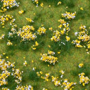 PREMIUM LANDSCHAPS-SEGMENT BLOEMENWEIDE GEKLEURD