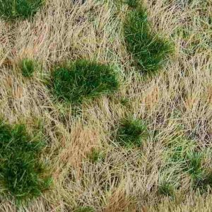 PREMIUM LANDSCHAPS-SEGMENT SPOORDIJK/TALUD