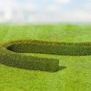 PREMIUM SIERHEGGEN/HAAGBEUKEN 2 STUKS