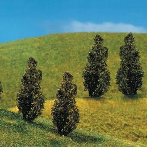 PREMIUM THUJA (LEVENSBOOM) 6 STUKS