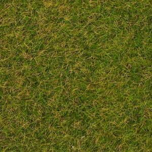 STROOIMATERIAAL WILDGRAS VROEGE ZOMER 4MM 1KG