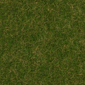 STROOIMATERIAAL WILDGRAS ZOMERWEIDE 4MM 1KG