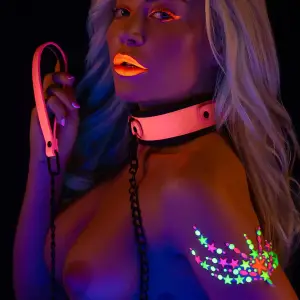 Collar and Chain Leash